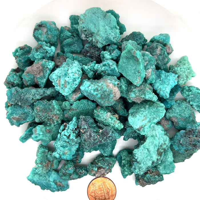 Campo Frio Mexican Turquoise Lot - 1/2LBS