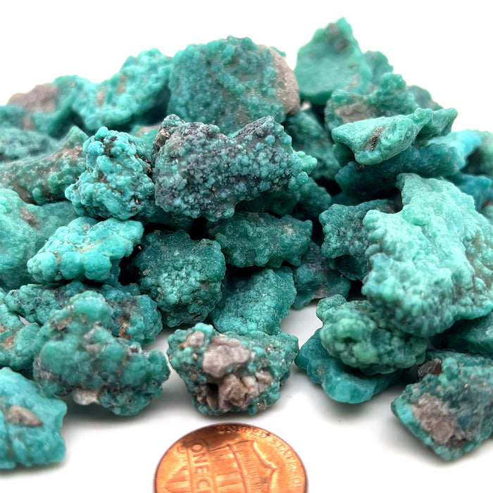 Campo Frio Mexican Turquoise Lot - 1/2LBS